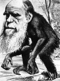 darwin-ape.jpg